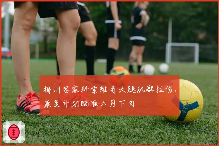梅州客家科索维奇大腿肌群拉伤，康复计划瞄准六月下旬