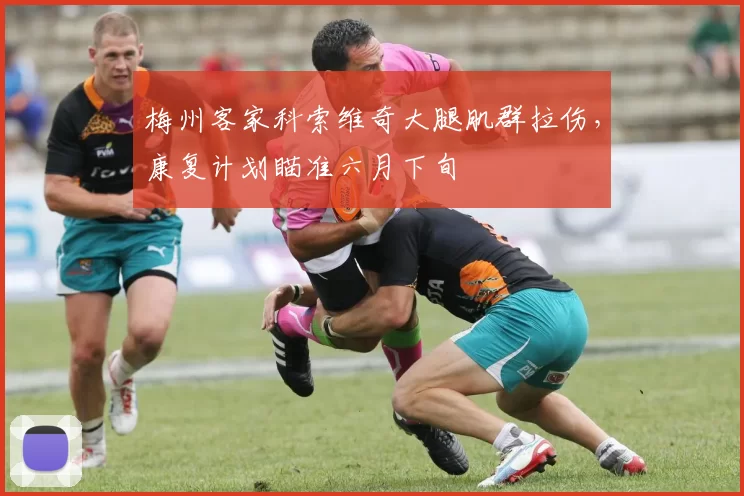 梅州客家科索维奇大腿肌群拉伤,康复计划瞄准六月下旬