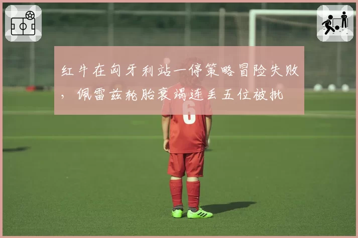 红牛在匈牙利站一停策略冒险失败，佩雷兹轮胎衰竭连丢五位被批
