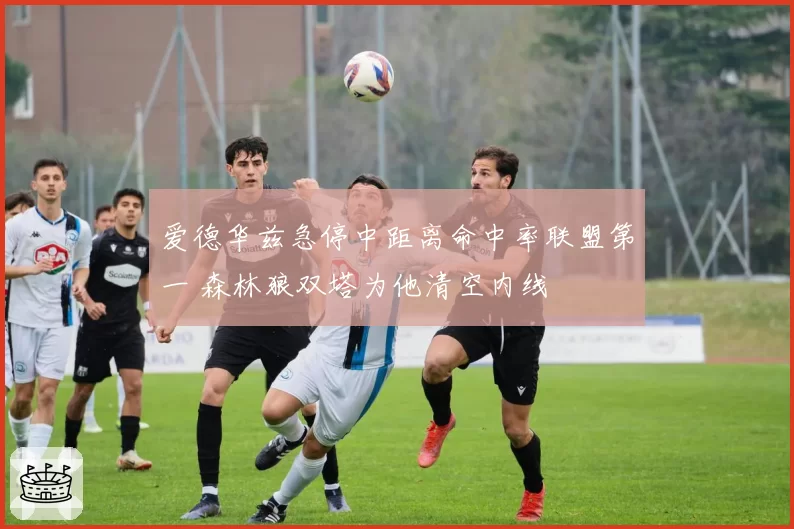 爱德华兹急停中距离命中率联盟第一 森林狼双塔为他清空内线